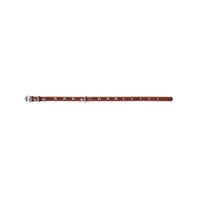 Collar 00236