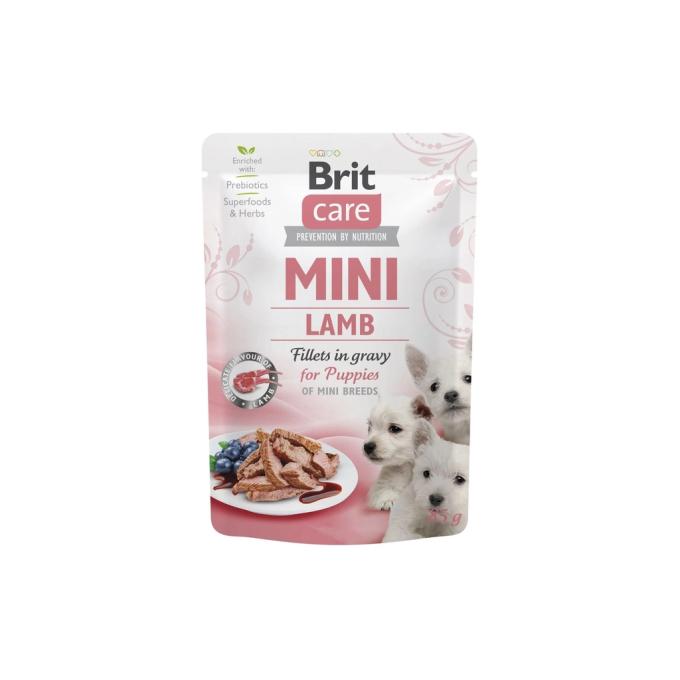Brit Care 8595602560318