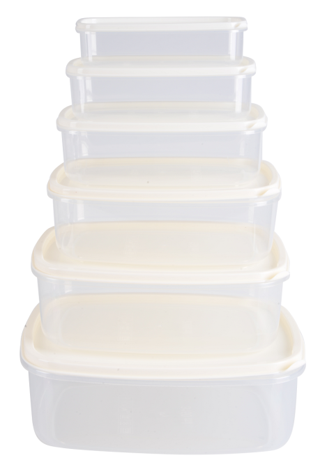 VIOLET HOUSE 0496 LIGHT CREAM прям. наб. LARG