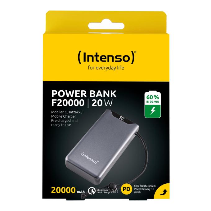 Intenso 7332054
