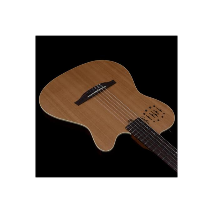 Godin 235917