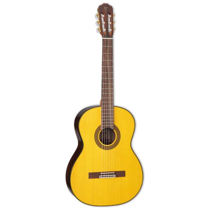 Takamine 234729