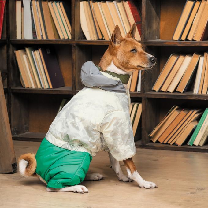 Pet Fashion 4823082427970