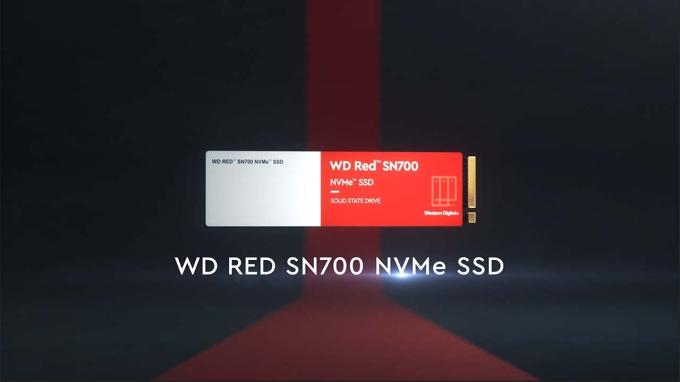 WD WDS500G1R0C