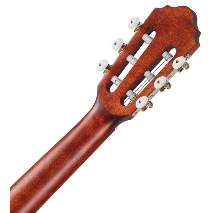Cort AC50 OP w/bag