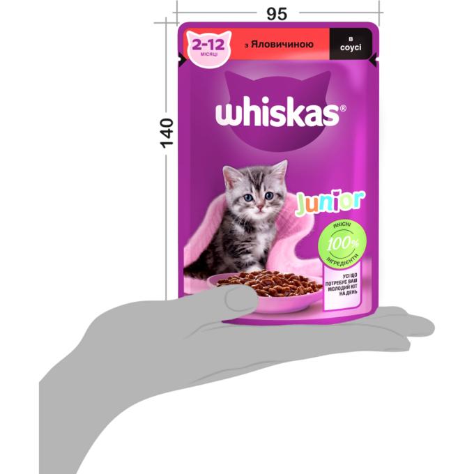 Whiskas 5900951301957