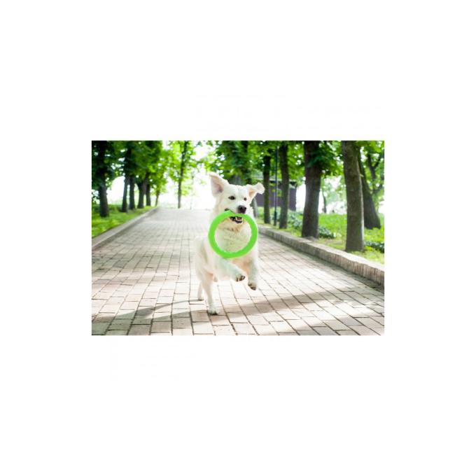 Collar 62365