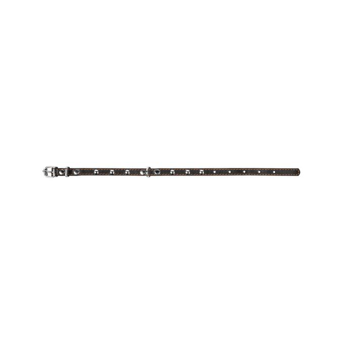 Collar 00231