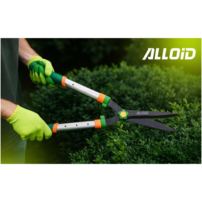 Alloid HS-102860