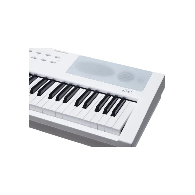 Kurzweil 530040