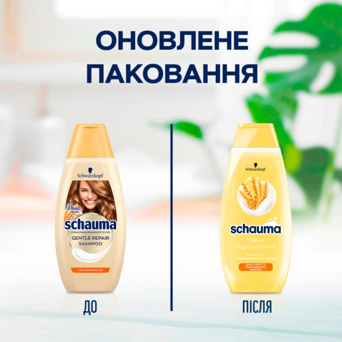 Schauma 9000101620825