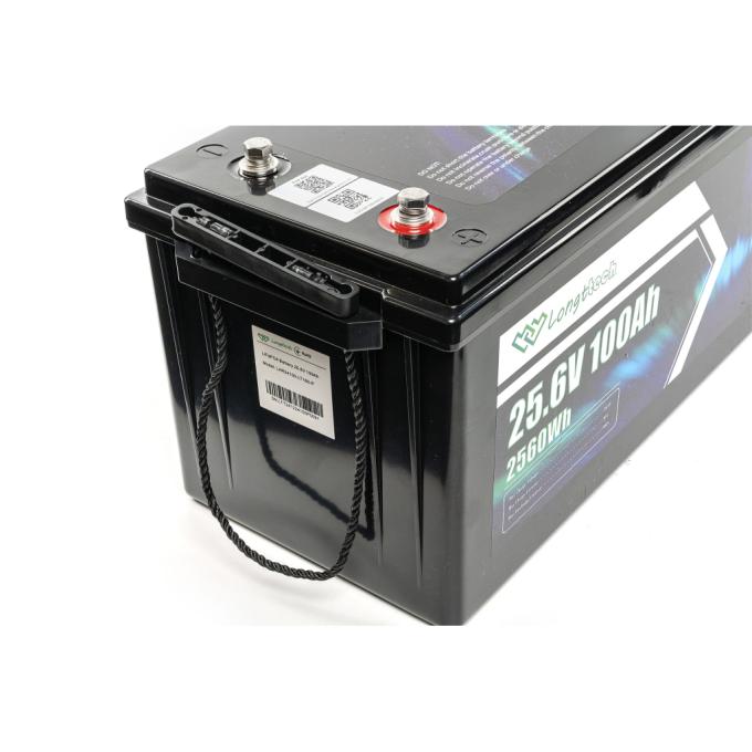 Longttech LAR24100-LT160-P