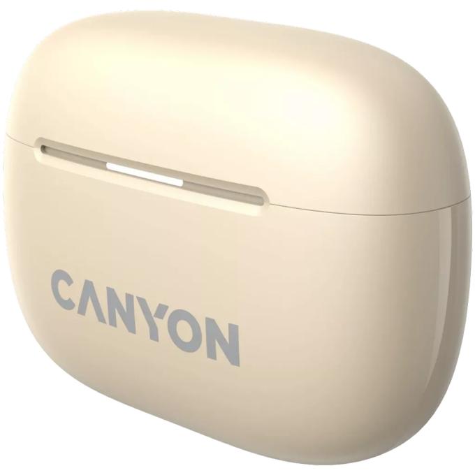 Canyon CNS-TWS10BG