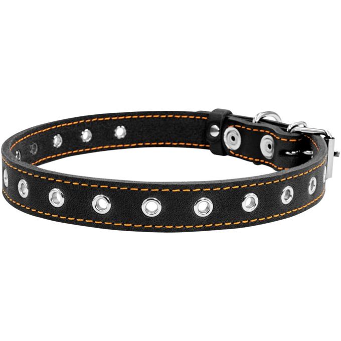 Collar 01511