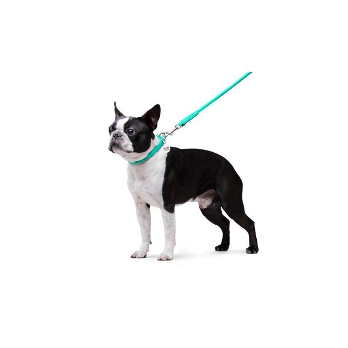 WAUDOG 337713