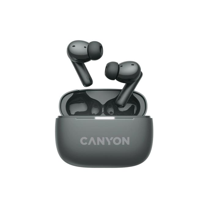 Canyon CNS-TWS10B