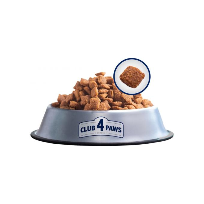 Club 4 Paws 4820083909276