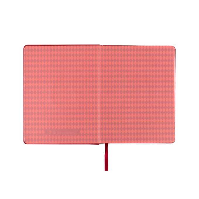 Kite HP25-264