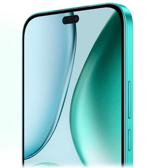 Honor Honor X8c 8/256GB Marrs Green_EU