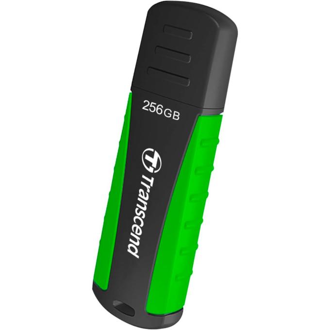 Transcend TS256GJF810