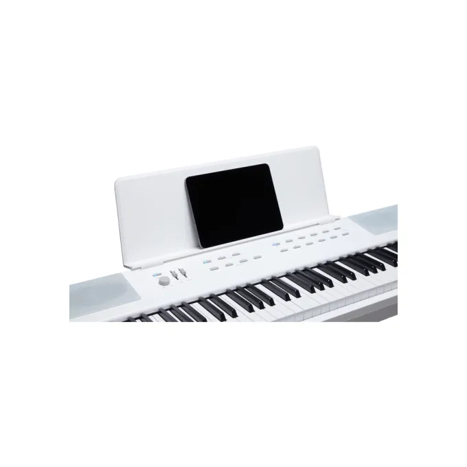 Kurzweil 530040