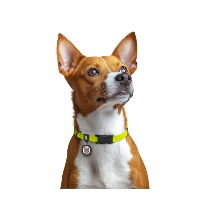 WAUDOG 279426
