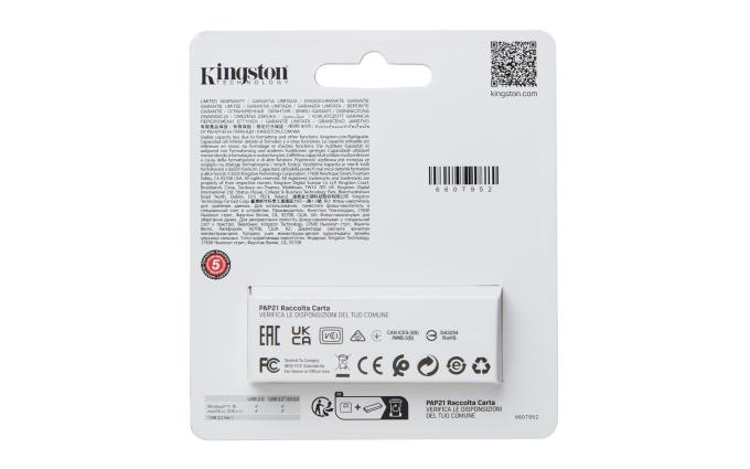 Kingston DTXS/256GB