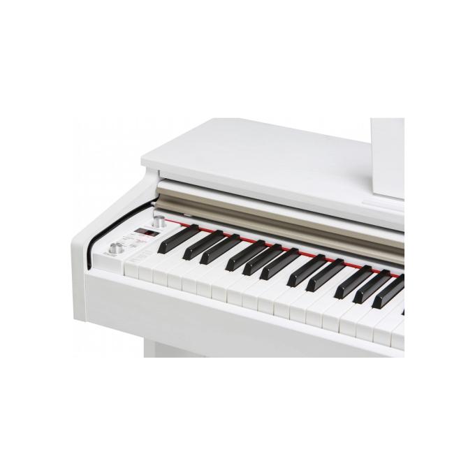 Kurzweil 285608