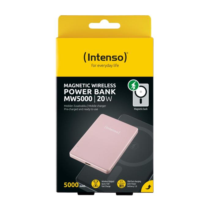 Intenso 7344023