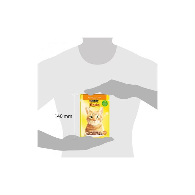 Purina Friskies 7613036965262