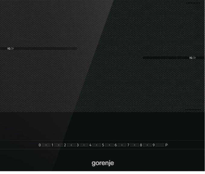 Gorenje 731907