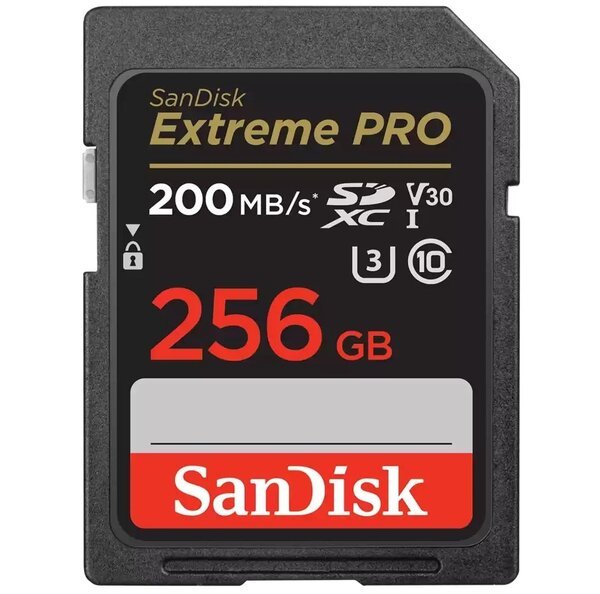 SANDISK SDSDXXD-256G-GN4IN