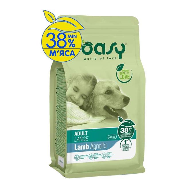 OASY 8053017349169