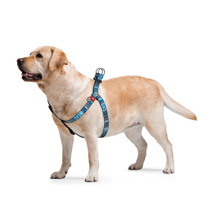 WAUDOG 5254