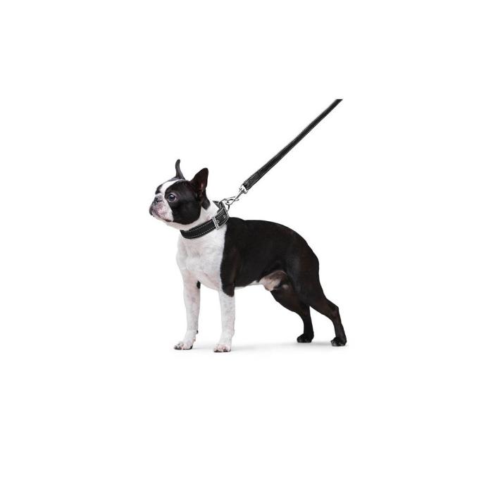 Dog Extreme 42981