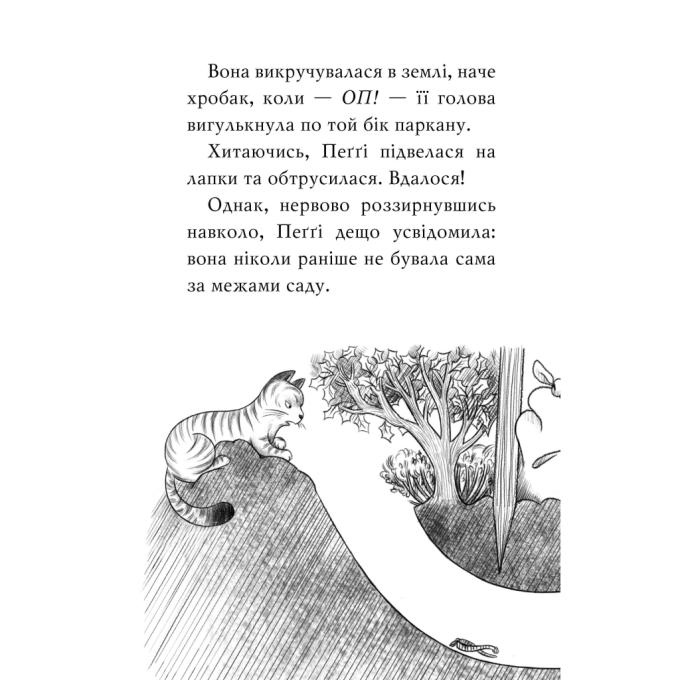 Видавництво РМ 9786178280307
