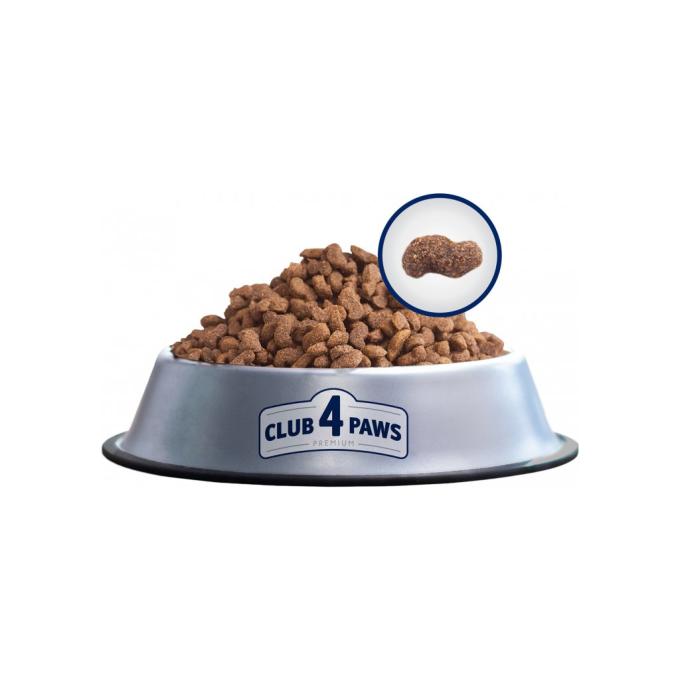 Club 4 Paws 4820083909597