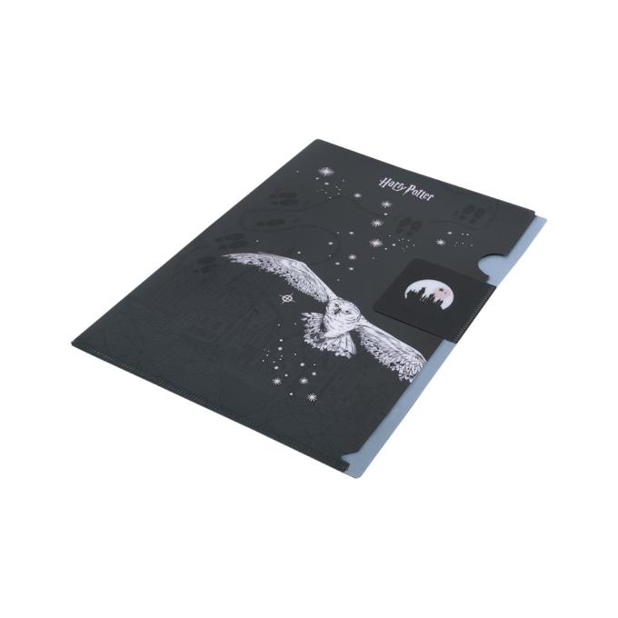 Kite HP25-248-2