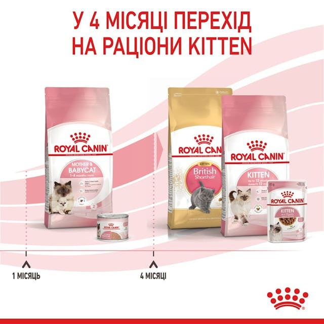 Royal Canin 2544004
