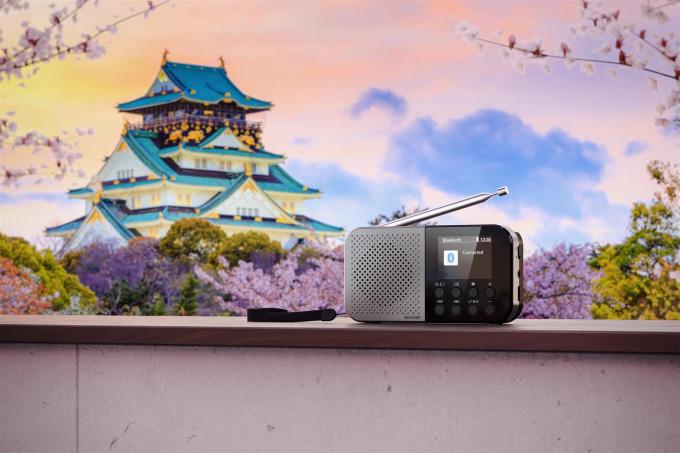 SHARP DR-P520(GY)