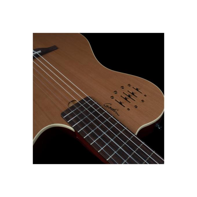 Godin 235919