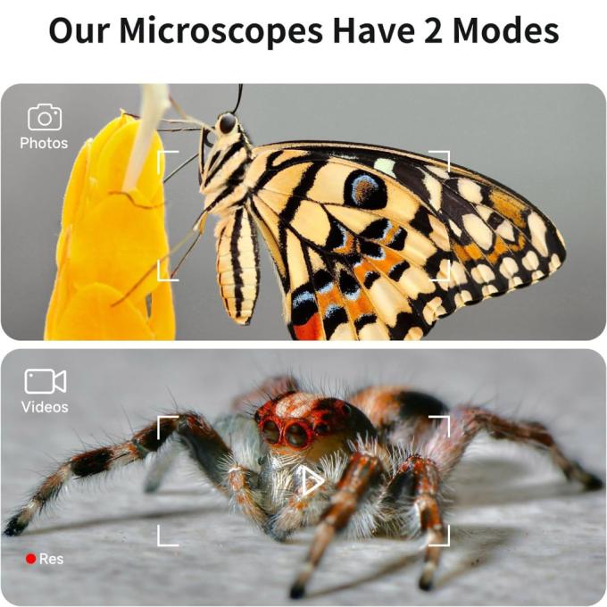 Xiaomi DDL-M2C