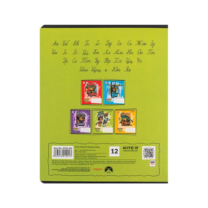 Kite NT24-234