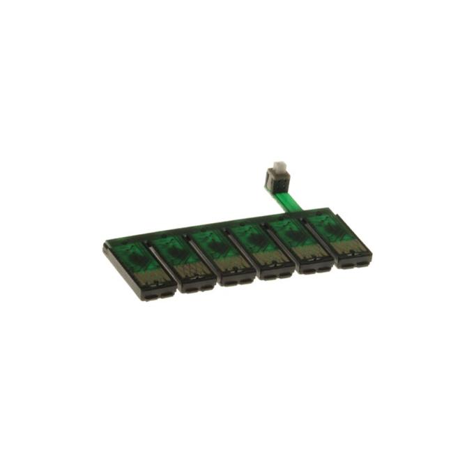 WWM CH.0242
