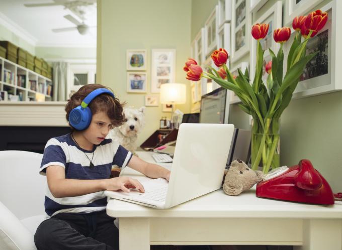 JBL JBLJR460NCPIK