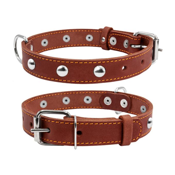 Collar 02236