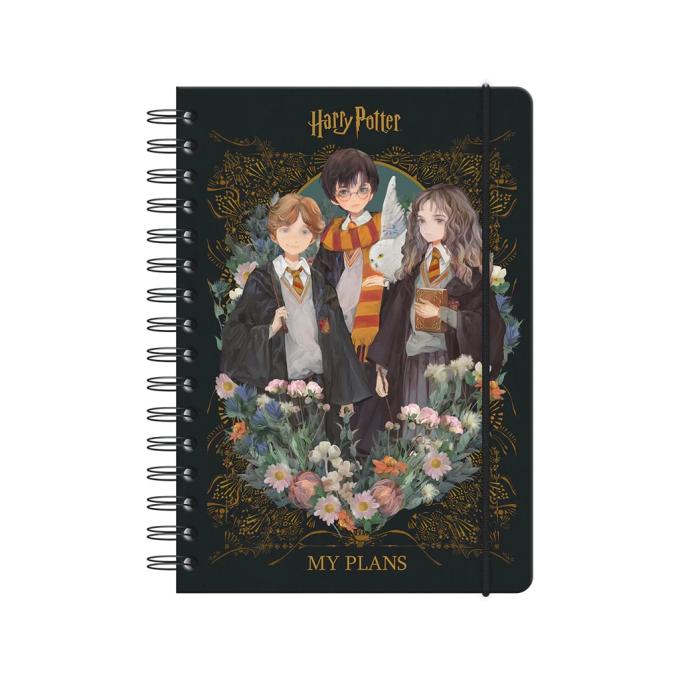 Kite HP23-438