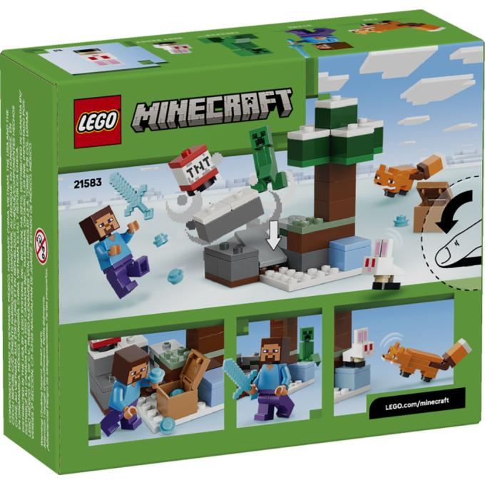 LEGO 21583