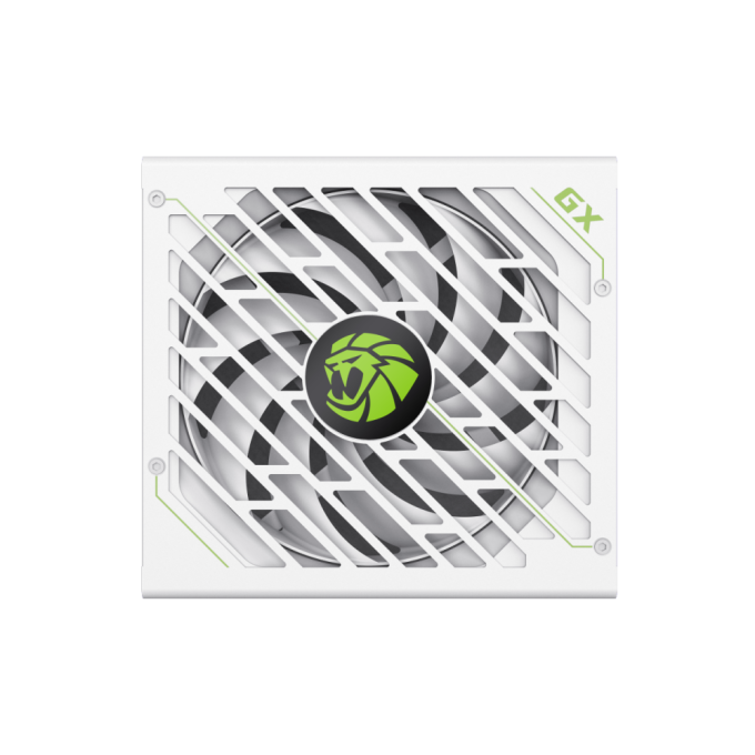 GAMEMAX GX-850 PRO WT(ATX3.1PCIe5.1)