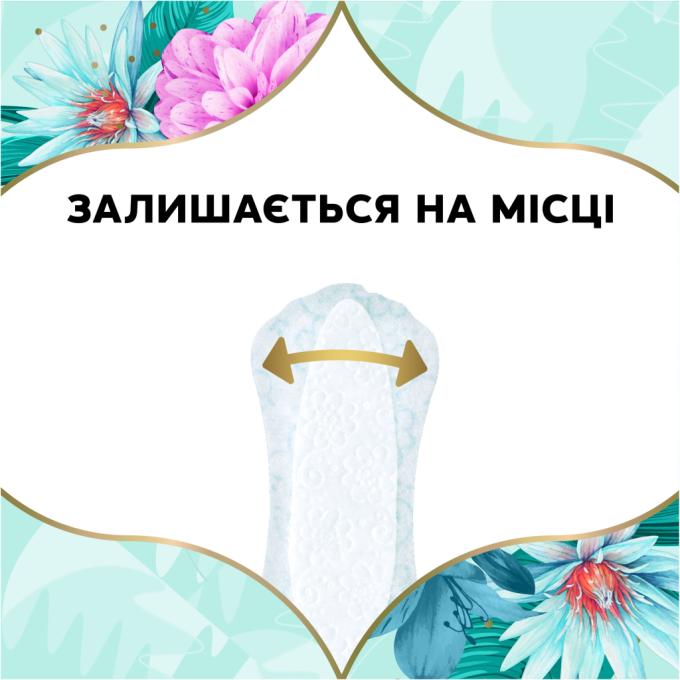 Discreet 8006540222645